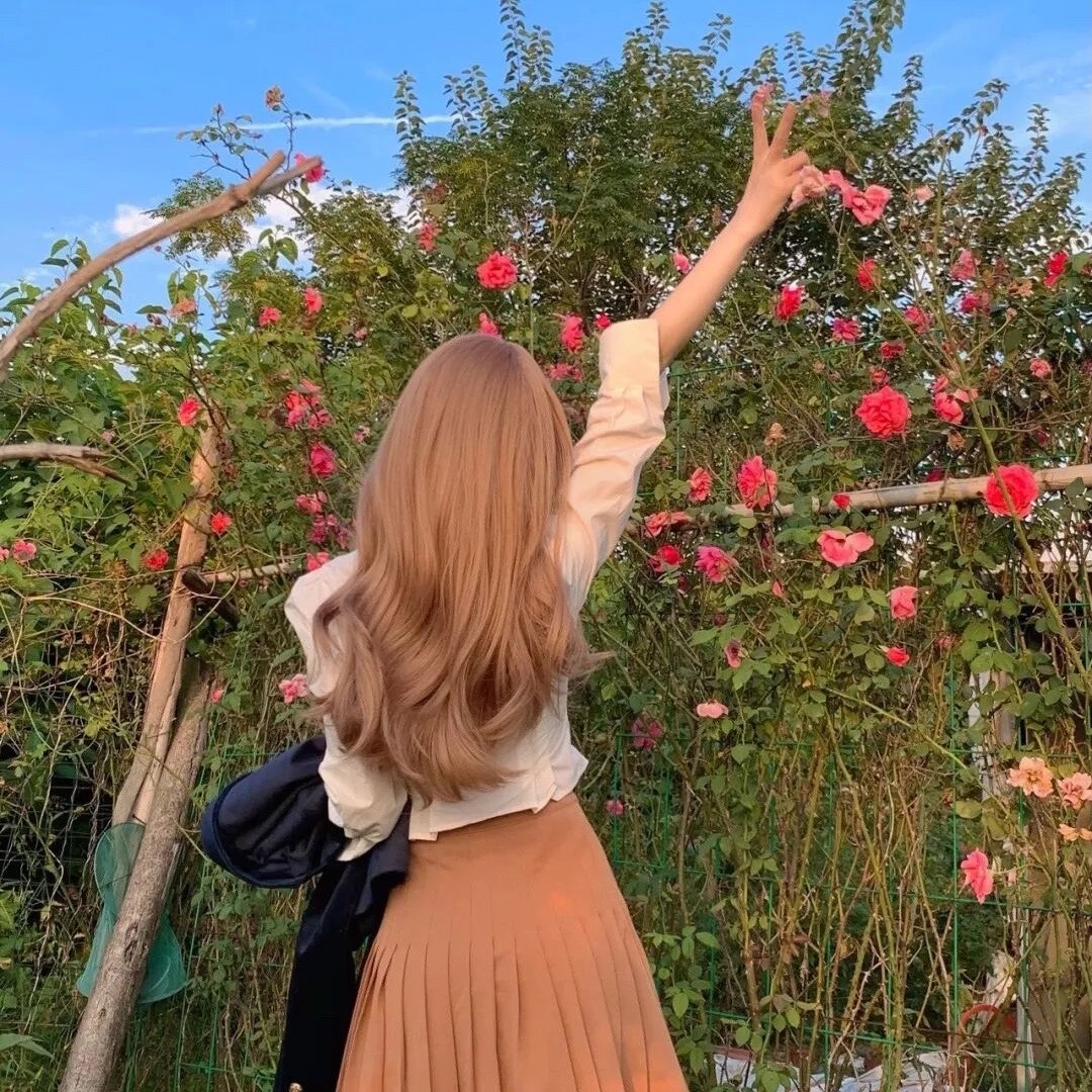 暗芝居第十二季